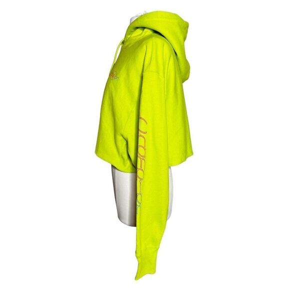 CHAMPION LADIES Reverse Weave Heavyweight Cropped Hoody Rainbow Logo Sweatshirt - Picture 7 of 9